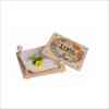 Plywood Children Play Wood Book Mark Toy Intelligent DIY Toy Wooden Flower Press Kit Leaf Plant