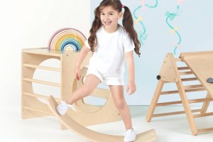 Physical and Developmental Benefits of Wooden Gym Toys