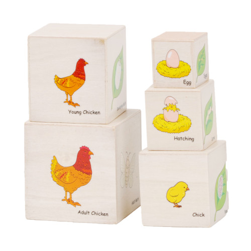 Chicken Life Cycle Educational Chart - From Egg to Adult Wooden educational toys​