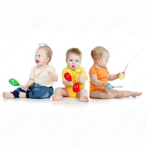 Vibrant Yellow and Purple Maraca Set with Floral Designs