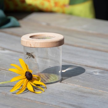 Nature Explorer Bug Observation Kit Jar with a Magnifying Lid
