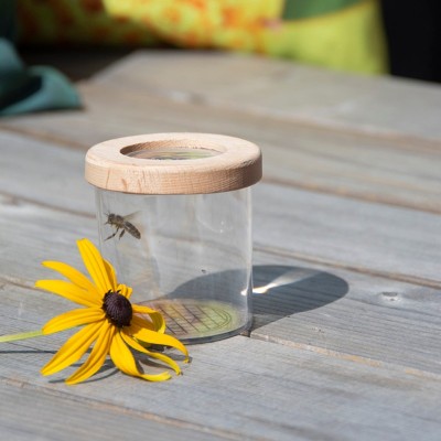 Nature Explorer Bug Observation Kit Jar with a Magnifying Lid