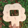 Wooden Identification Boards Nature Identification Kit for Kids