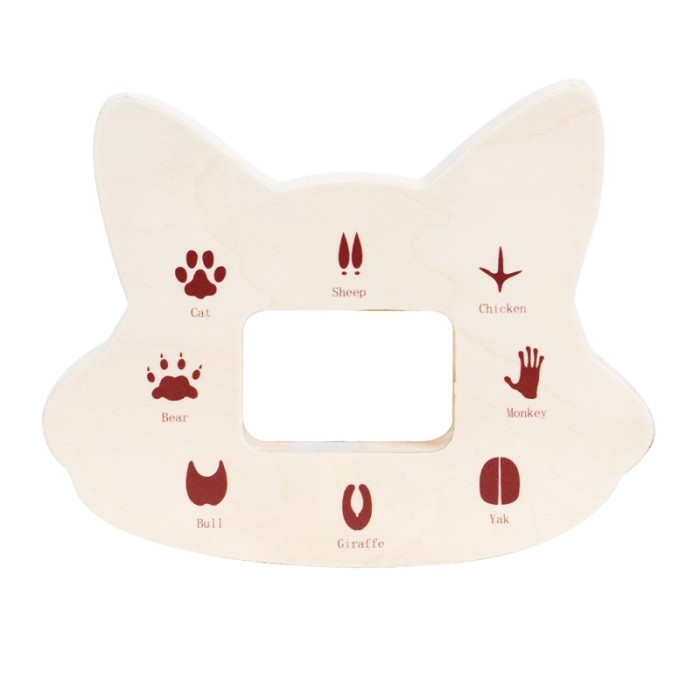 Wooden Identification Boards Nature Identification Kit for Kids