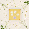 Wooden Flower Press Kit with Yellow Daisy Art Print