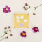 Wooden Flower Press Kit with Yellow Daisy Art Print