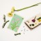 Flower Press Kit with Tulip Art Print