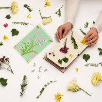 Flower Press Kit with Tulip Art Print