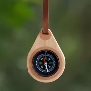 Wooden Compass