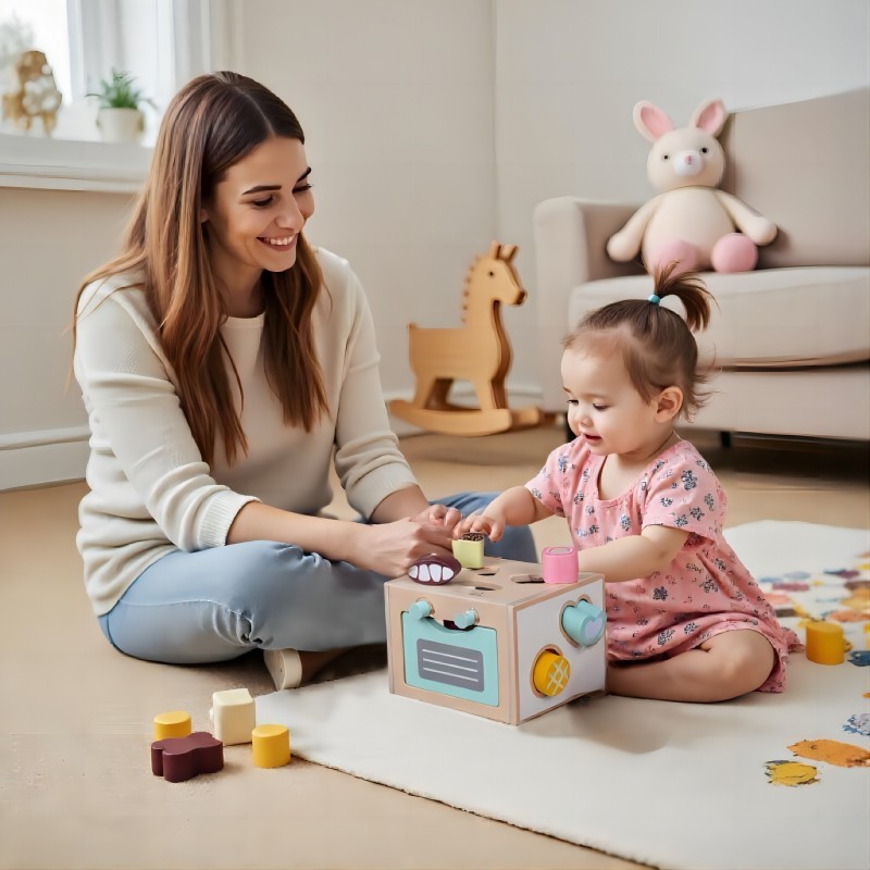 Shape Sorting Cube