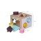 FORESTOY Shape Sorting Cube | Eco-friendly, Engaging | Wood learning | Kids play, education | Custom