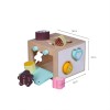 FORESTOY Shape Sorting Cube | Eco-friendly, Engaging | Wood learning | Kids play, education | Custom shapes