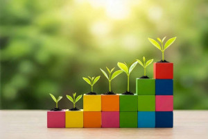 The Best Wooden Toys for Children's Development