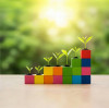 The Best Wooden Toys for Children's Development