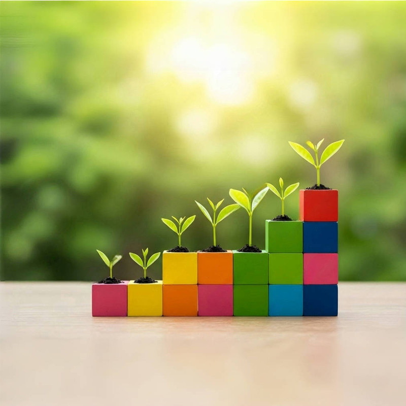The Best Wooden Toys for Children's Development