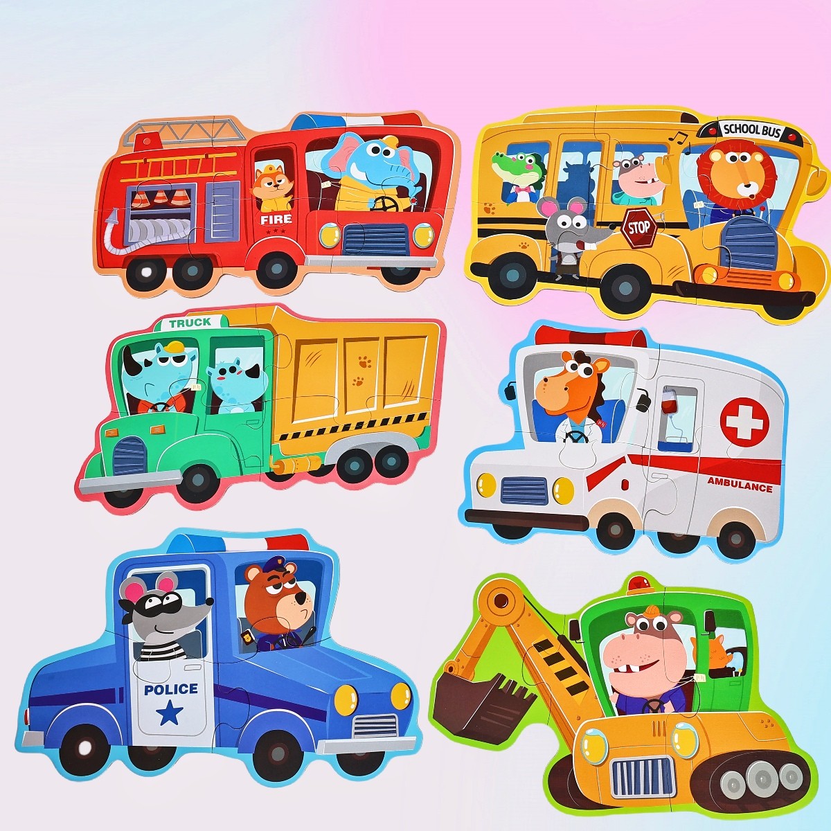 6 in 1 Puzzle with large chunks