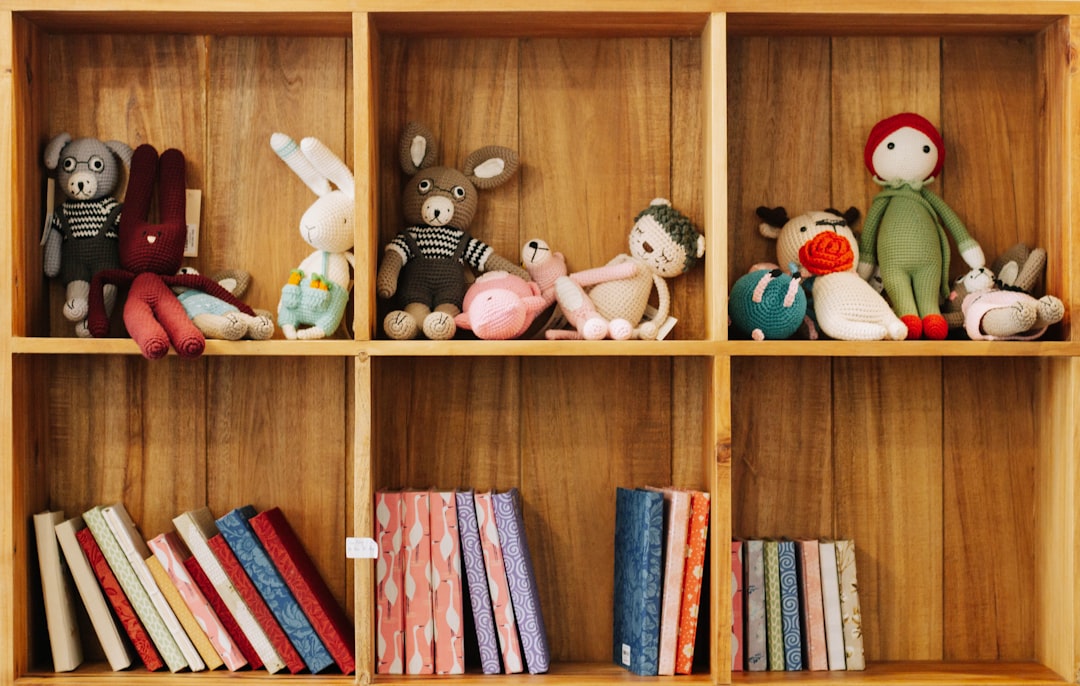 A collection of high-quality wooden Montessori toys on a shelf