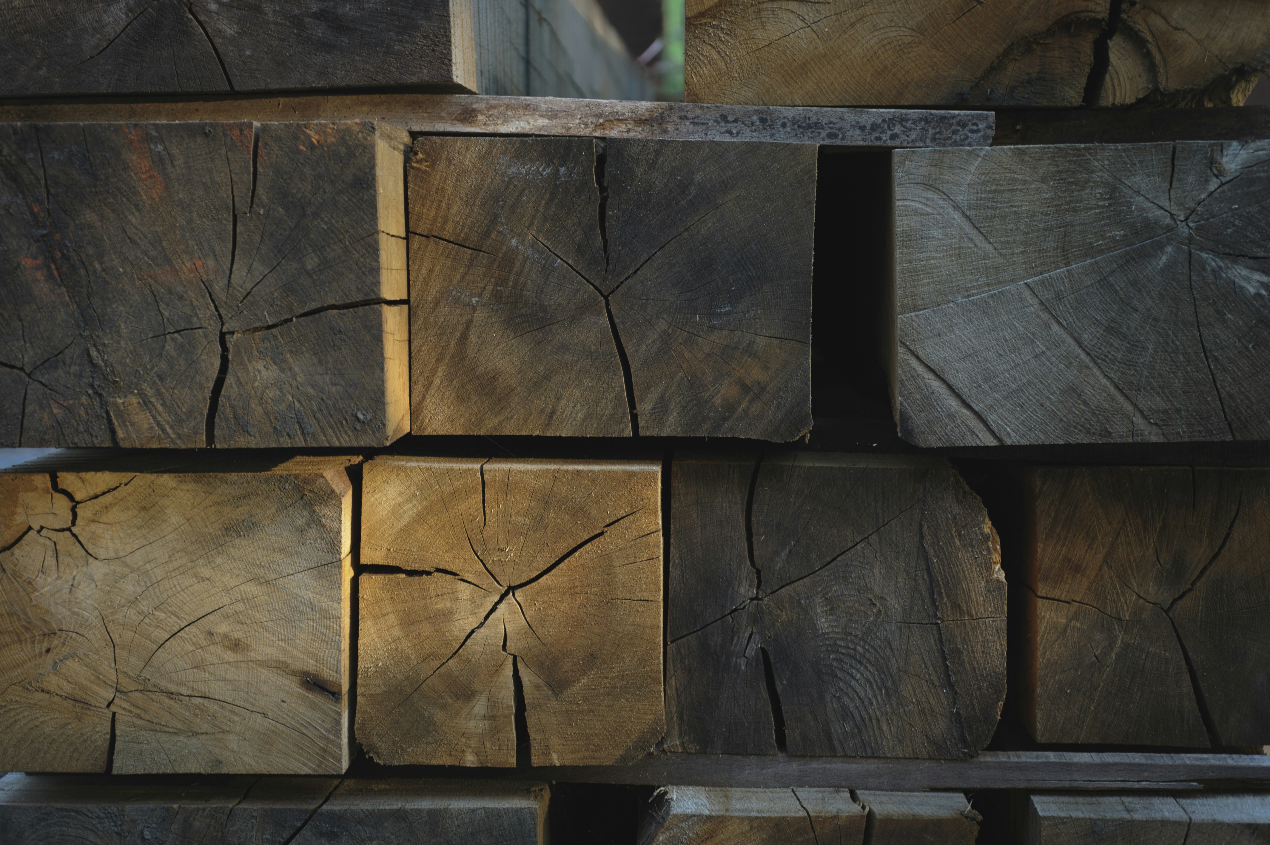 FSC certified sustainable wood sourcing FSC certified wood logs ready for toy manufacturing