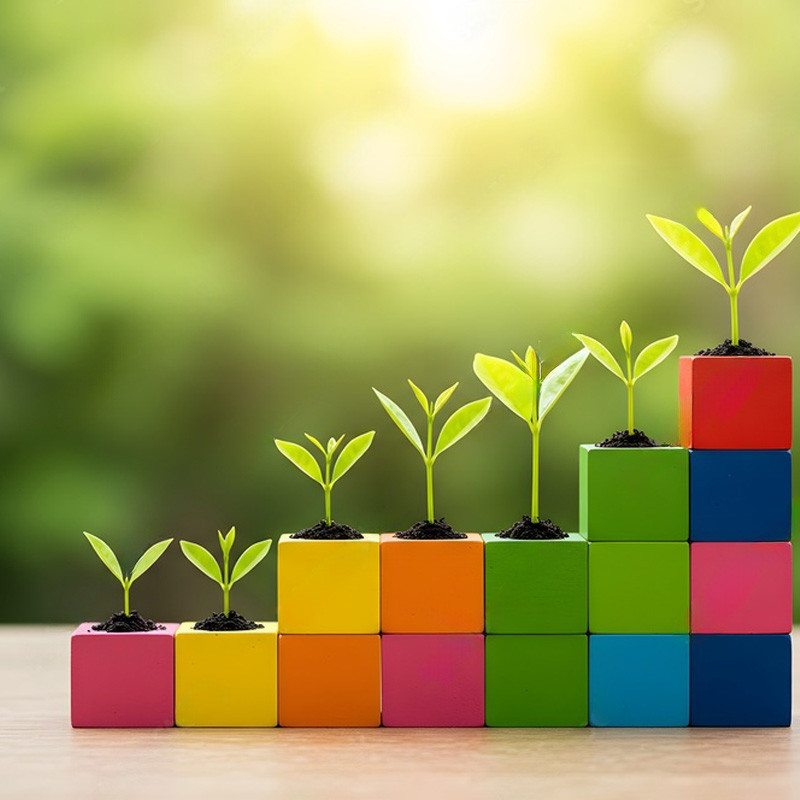 Why Craftsmanship & Innovation Matter in China Wooden Toys | Forestoy