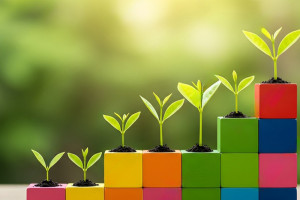 Why Craftsmanship & Innovation Matter in China Wooden Toys | Forestoy