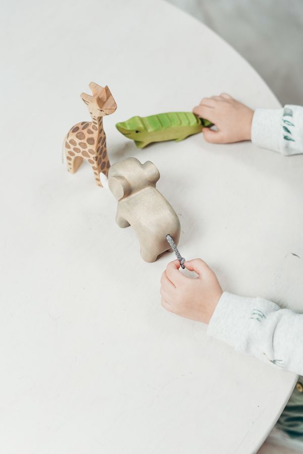 Wooden toy partnership