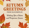 Autumn Greetings from SiliconePlus — Wishing You a Warm and Prosperous Season