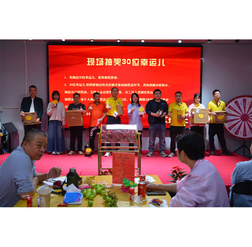 SiliconePlus Employee Team-Building Event: Fun, Food, and FestivitiesSiliconePlus