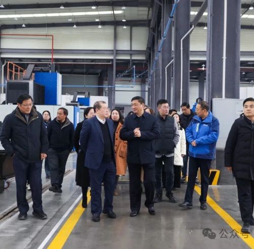 Deputies to the National and Provincial People's Congress Visit ZOPO Intelligent for Inspection and Research