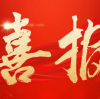 喜报|载誉归来!卓朴智能党委代表参加我市 “两优一先” 代表会见活动
