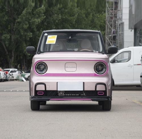 Geely Panda 2024 New Energy Vehicle Stylish And Cute Car