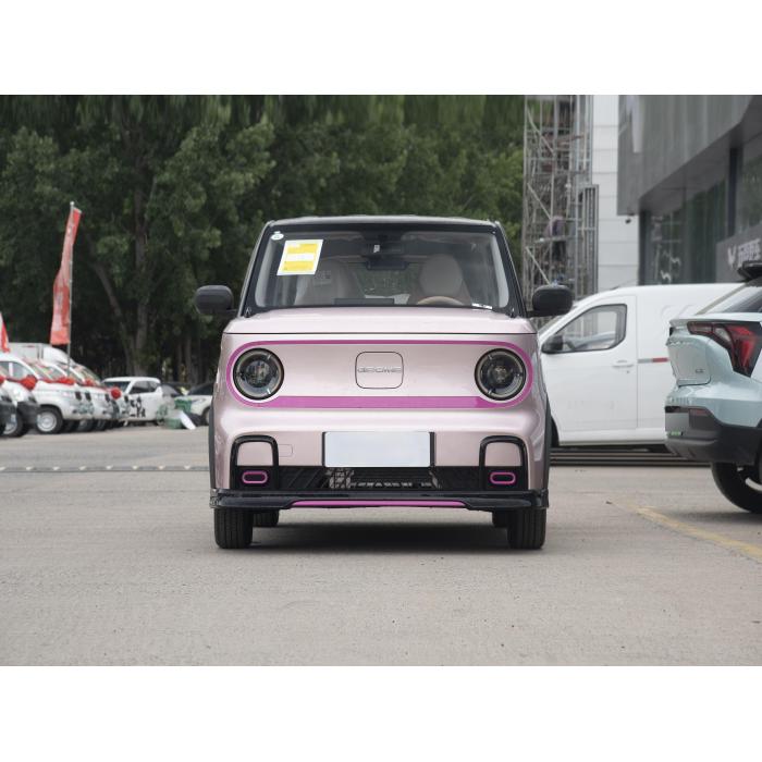 Geely Panda 2024 New Energy Vehicle Stylish And Cute Car
