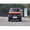 Geely Panda 2024 New Energy Vehicle Stylish And Cute Car