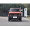 Geely Panda 2024 New Energy Vehicle Stylish And Cute Car