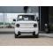 Geely Panda 2024 New Energy Vehicle Stylish And Cute Car