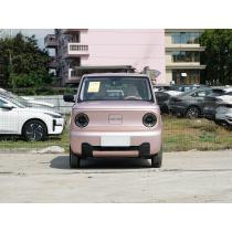 Geely Panda 2024 New Energy Vehicle Stylish And Cute Car