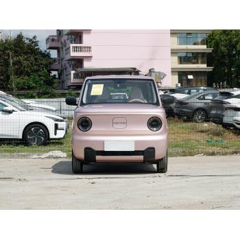 Geely Panda 2024 New Energy Vehicle Stylish And Cute Car