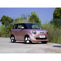 Changan Lumin New Energy Vehicle Enjoy A Stylish New Life