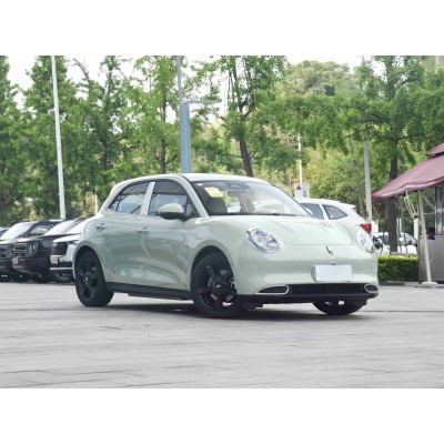 Ora Funky Cat New Energy Vehicle New Era Smart Running