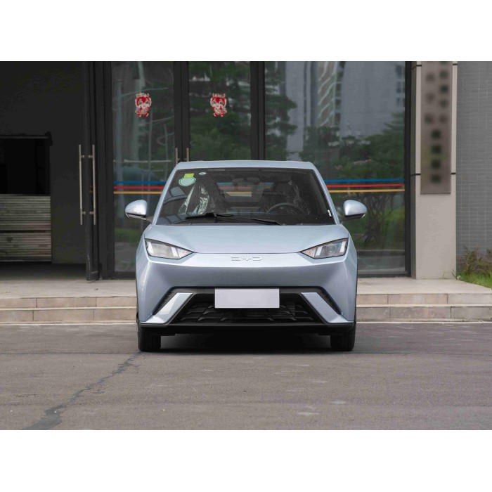 BYD Seagull’s 2025 Carefully Selected Cars Are Very European