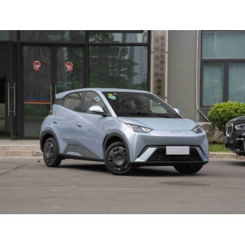 BYD Seagull’s 2025 Carefully Selected Cars Are Very European