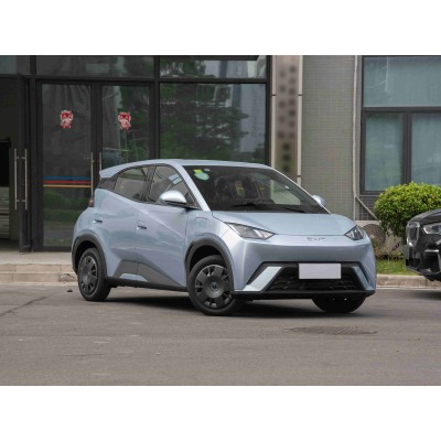 BYD Seagull’s 2025 Carefully Selected Cars Are Very European