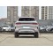 BYD Song PLUS 2024 Million-dollar Car Leads The Way To The Top