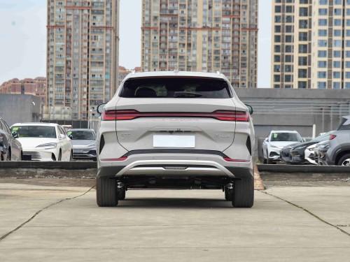 BYD Song PLUS 2024 Million-dollar Car Leads The Way To The Top