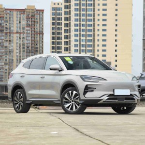 BYD Song PLUS 2024 Million-dollar Car Leads The Way To The Top