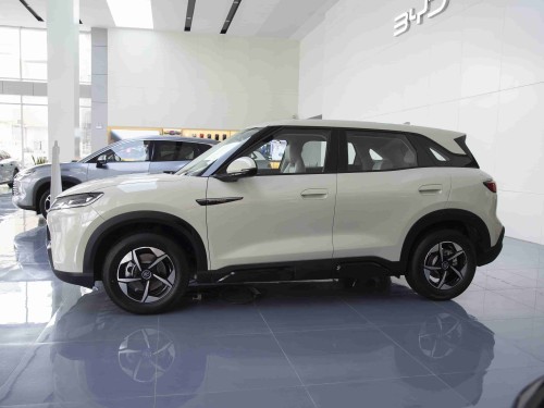 BYD Yuan UP 2024 90,000-class Quasi-A Pure Electric SUV