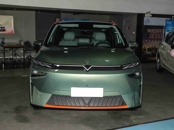 Dongfeng Venucia VX6 Smart Versatile Large Pure Electric SUV