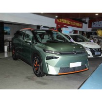 Dongfeng Venucia VX6 Smart Versatile Large Pure Electric SUV