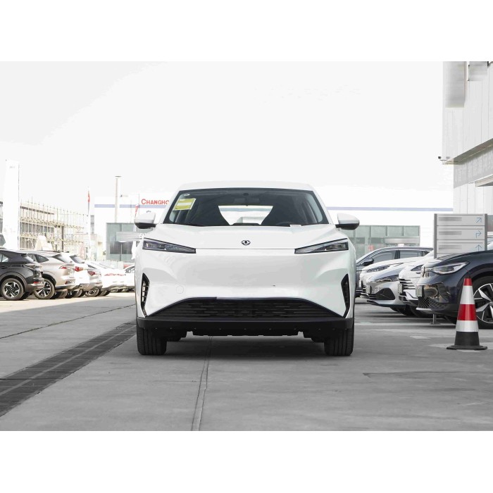 Dongfeng Fengshen SKY EV01 2024 Pure Electric SUV New Force