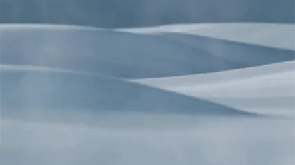 Fiber