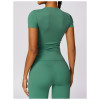 Custom Athletic Workout Tops| nylon and spandex fitness yoga compression short sleeves top
